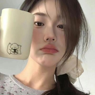 双食记 封面